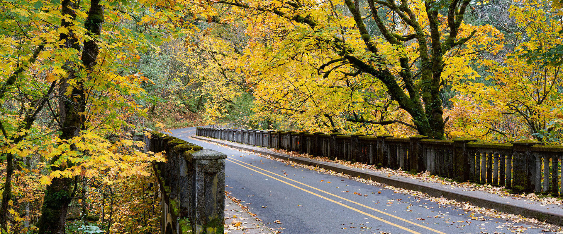 columbia-river-gorge-highway-bridge-latorell-creek-oregon